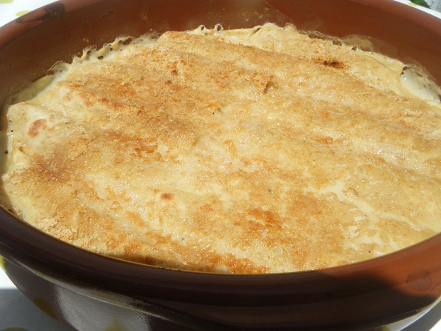 canelones de soja y verduras 